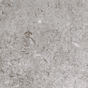DUNE GRAY
